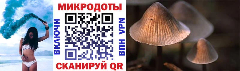 Псилоцибиновые грибы мухоморы  Тюкалинск 